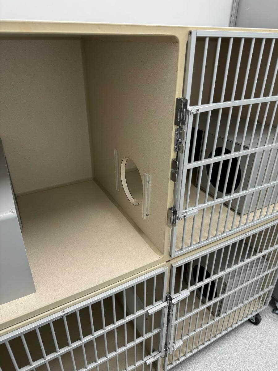 Cat Condo Cat Condo