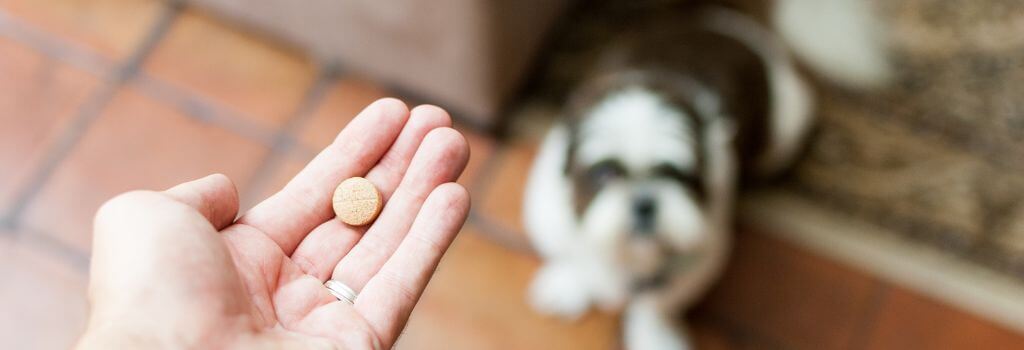 Owner presenting hand with a pill in it to a dog in the background