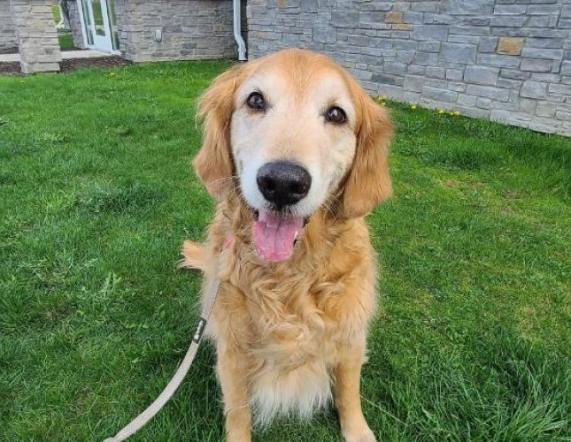 Understanding Osteoarthritis: Minimizing Pain, Maximizing Quality of Life